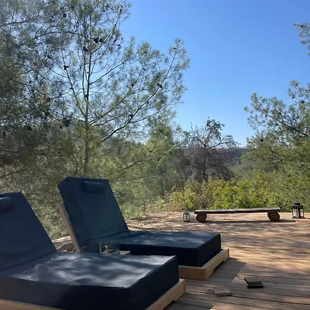 Secluded Design Forest Retreat In Cyprus אכסניה Kappedhes